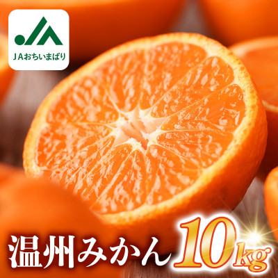 【先行予約】温州みかん 10kg L~Sサイズ　JA選果品【KC00760】【1648538】