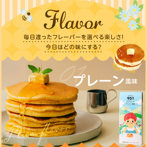 951パンケーキミックス 10個セット
