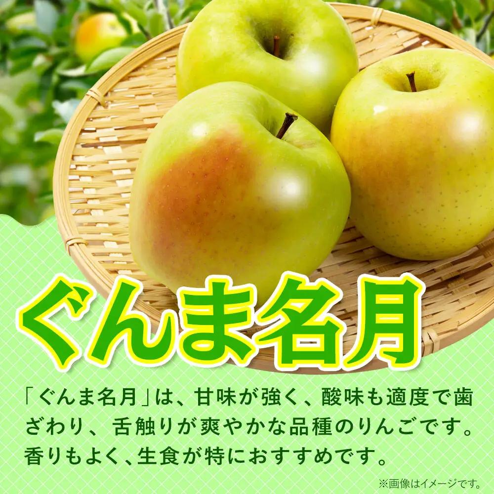 【26年11月発送】りんご ぐんま名月【贈答用】約5kg 先行受付 青森県 弘前市 果物 フルーツ 林檎 リンゴ くだもの ギフト 贈り物