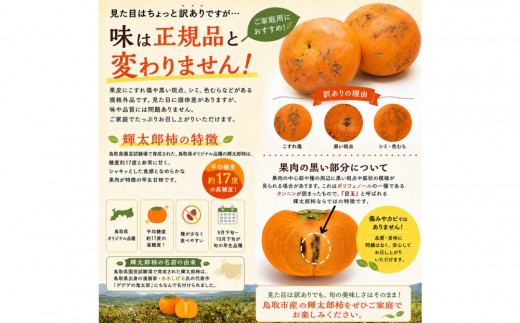 【先行予約】【2026年秋発送】鳥取市産 輝太郎柿 約3kg【訳あり・ご家庭用】鳥取県オリジナル 高糖度 甘柿 種が少ない 秋の味覚