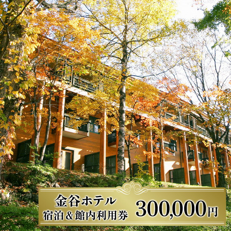 【ふるさと納税】[金谷ホテル] 宿泊＆館内利用券 300,000｜日光市 ホテル 観光 旅行 旅行券 宿泊 宿泊券 チケット 夏休み 紅葉 [0043]