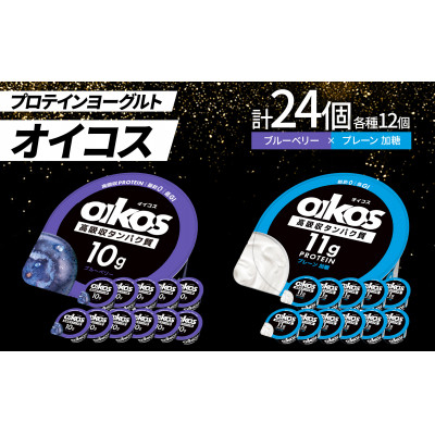 
            ダノン オイコス 脂肪0 2種詰め合わせセット(ブルーベリー12個・プレーン加糖12個)【1565579】
          