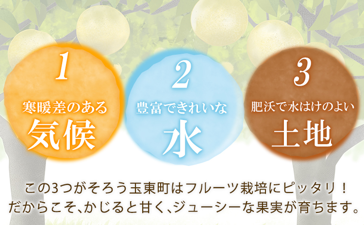 上田果樹園の元祖！玉東梨(旬の品種をお届けします)約5kg(8玉-16玉)熊本県玉名郡玉東町 なし 果物 スイーツ デザート 《7月下旬-9月下旬頃出荷》