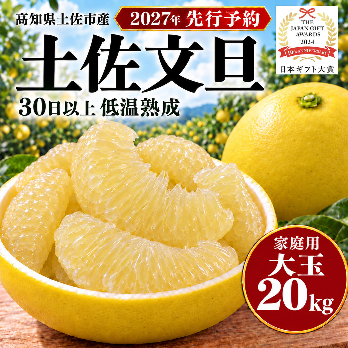 土佐文旦 大玉 20kg (10kg×2箱) 家庭用 日本ギフト大賞受賞 文旦発祥の地 園主こだわり 3L～2L 高知県土佐市産 高知県産 国産 20キロ ぶんたん ブンタン みかん 柑橘類 高級フルーツ 果物 産地直送 お取り寄せ ギフト 季節限定 先行予約 やの一果彩[BQAC008]