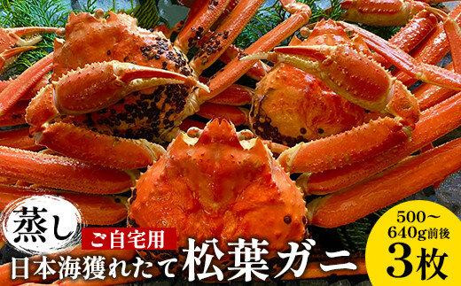 114.【蒸し】訳あり ご自宅用 日本海獲れたて松葉ガニ 500～640g前後 ３枚 ※2026年11月上旬～2027年3月上旬頃に順次発送予定【家庭用 松葉ガニ 松葉蟹 蟹 かに 甲殻類 ズワイガニ 鳥取県 北栄町 おすすめ 人気 送料無料】