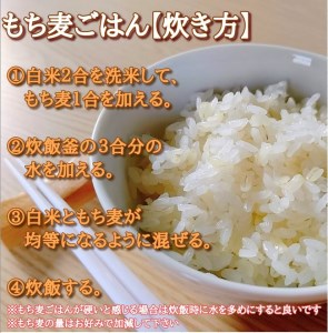 CI062_佐賀県産『もち麦』２㎏(１㎏×２袋) 【キラリモチ】