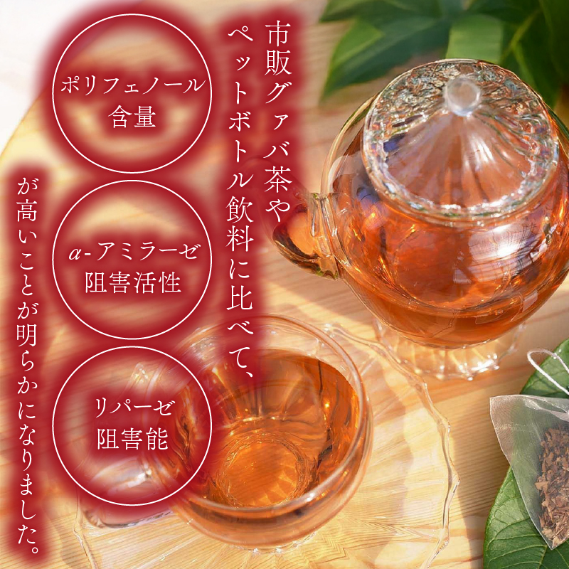 国産有機栽培グァバ葉100％使用 土佐國グァバ茶（2g×10包）【お茶 飲料 健康茶 国産 漢方 人気 おすすめ 高知県 南国市】