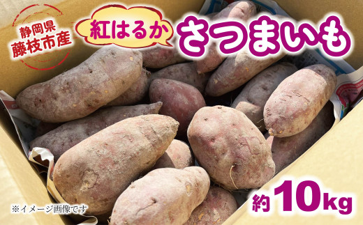 【2025年11月～順次発送予定】 さつまいも 紅はるか 約10kg 期間限定 サツマイモ 焼き芋 イモ 芋 いも 野菜 健康 やさい 人気 おすすめ 静岡県 藤枝市