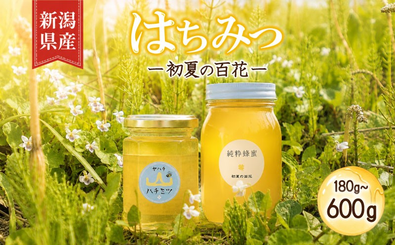 
                  はちみつ 国産 選べる 180g 600g 瓶 百花蜂蜜 初夏の百花 セイヨウミツバチ 新潟 百花 蜂蜜 ハニー 純粋はちみつ 国産はちみつ ハチミツ 百花蜜 純粋ハチミツ 蜂 蜜 養蜂 養蜂家 栄養 防災グッズ 保存 備蓄 防災食 非常食 保存食 弥八養蜂 新潟県 新発田市 新発田 yahachi001P
                
