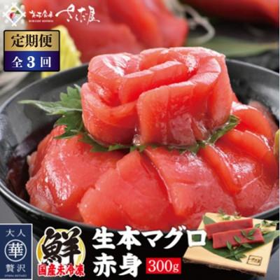 ふるさと納税 越前町 【2ヵ月毎定期便】「生本まぐろ」赤身 300g(2〜3柵)全3回