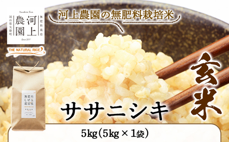 令和6年産 無肥料栽培ササニシキ 玄米 5kg(5kg×1袋) 河上農園 岡山県矢掛町《30日以内に出荷予定(土日祝除く)》｜ 農薬・化学肥料不使用 お米 コメ こめ ササニシキ 玄米