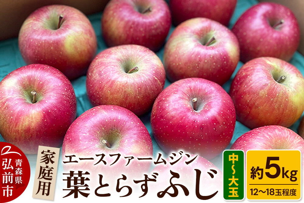 【26年11月発送】りんご【数量限定】家庭用 葉とらず ふじ 約5kg（中玉～大玉12～18玉程度）【先行受付】 青森 果物 フルーツ 林檎 リンゴ くだもの 予約 [アップル おいしい はとらず ふ