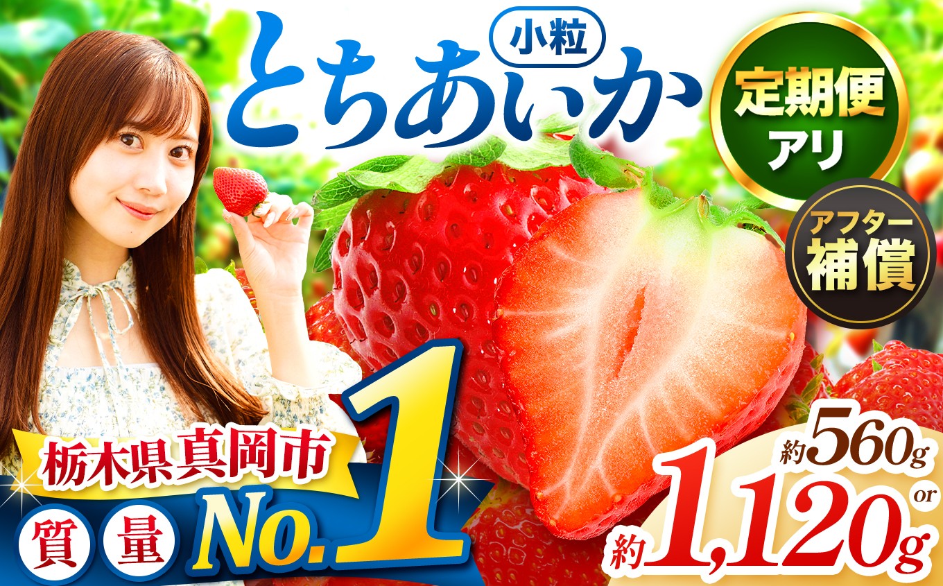 
                   【先行予約】小粒 とちあいか 発送月・容量が選べる いちご | 1月 2月 3月 4月 |  果物 フルーツ 苺 イチゴ 2027年分  栃木県 真岡市 送料無料
                