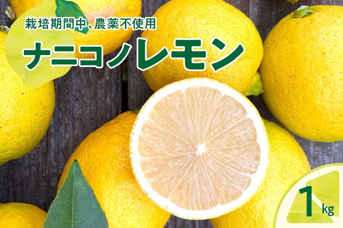 
            【2025年12月下旬～発送】ナニコノレモン 1kg ku149-005-25
          