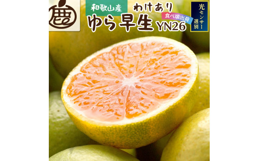 【先行予約】家庭用有田みかんサイズ混合(2S～2L)2.5kg+250g 10月より発送(極早生)【YN26・ゆら早生】【わけあり】※北海道・沖縄・離島への配送不可 / みかん くだもの 果物 フルーツ みかん オレンジ 有田みかん【ikd147B】