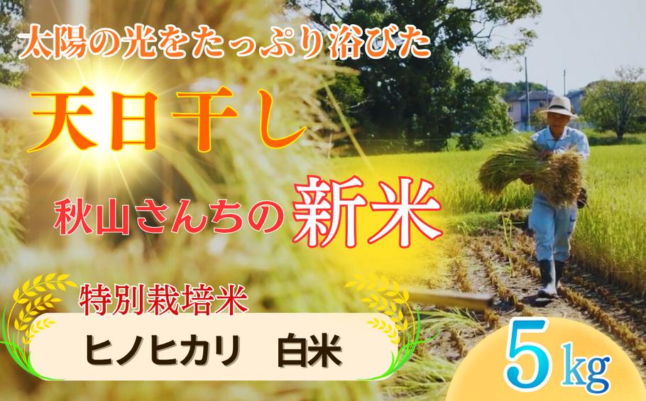 
                  【2026年度】秋山さんの新米 ヒノヒカリ 白米 5kg
                