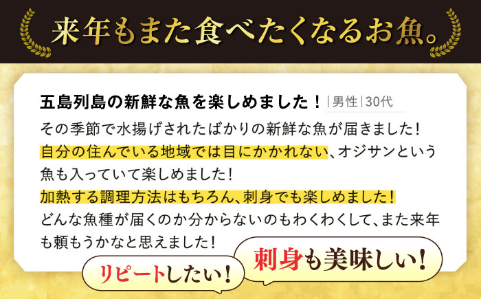 【五島列島・直送】朝獲れ！鮮魚セット2kg 鯛福丸水産/五島市 [PDP008]