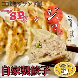1169 おかんの手作り餃子（10個入×5袋）　餃子　手作り　一志SPポーク　まるとも　冷凍