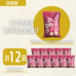 【12カ月定期便】令和7年産 京都丹波産 きぬひかり 5kg 合計60kg 白米 精米 お米 こめ コメ キヌヒカリ 精米したて 特A 特A米 令和7年 ご飯 ごはん 12回 1年 お楽しみ 京都 京