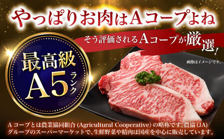 【12回定期便】長崎和牛ステーキ(200g×6枚)　/　長崎和牛　ブランド牛　牛　牛肉　ステーキ　サーロイン　/　諫早市　/　長崎県央農業協同組合Aコープ本部[AHAA032]