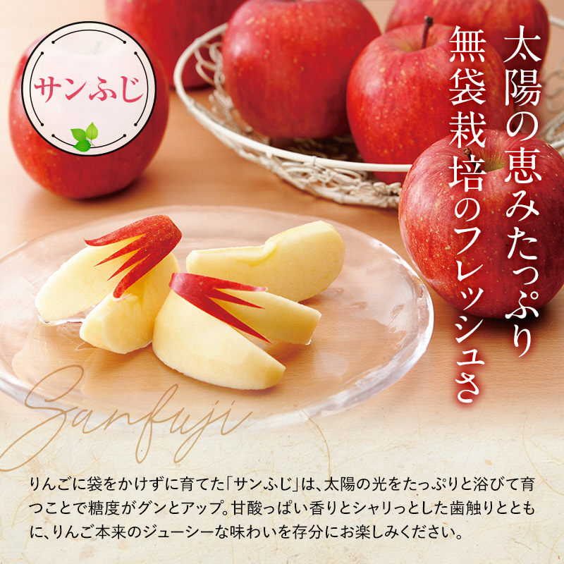 【令和6年産先行予約】 〈訳あり品 家庭用〉 りんご 「サンふじ」 約10kg (24～36玉) バラ詰め 《令和6年11月中旬～12月上旬発送》 『マルタニ農園』 リンゴ 山形県 南陽市 [1916