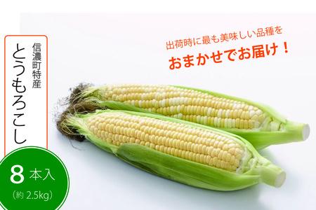 【2025年夏の予約受付開始！】採れたて最旬の『信濃町特産とうもろこし（8本セット：季節限定）』出荷時期により最も美味しい品種を発送します【長野県信濃町ふるさと納税】