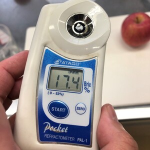 雪中貯蔵 りんご ふじ 3kg【BARUバイオジャパン吉村(株)】[B2-9904]