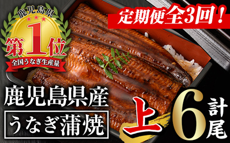 【 定期便 全3回 】無投薬！ 鹿児島県産 うなぎ 蒲焼 セット ＜上＞ (計840g以上・140g以上×2尾×3回) タレ 山椒 付き 【西日本養鰻】T26
