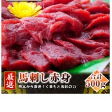 【馬刺し】熊本直送　ブロック肉　赤身500g(南阿蘇村)