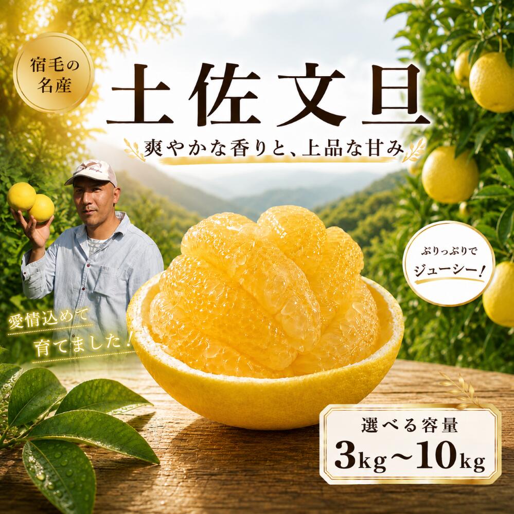 【ふるさと納税】 追熟 土佐文旦 10kg 贈答用 吉村農園 柑橘 果物 フルーツ 文旦 ぶんたん ブンタン 高知県産 特産品 名産品 旬 ジューシー 甘酸っぱい さっぱり 果汁 ビタミンC 贈り物 ギフト プレゼント 贈り物 人気 誕生日 贅沢 産地直送 農園直送 宿毛市 高知県 22000円
