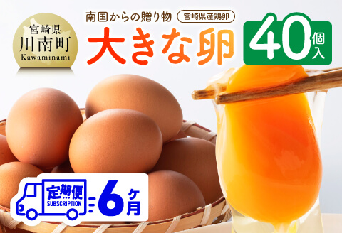【6ヶ月定期便】 宮崎県産鶏卵　「南国からの贈り物」大きな卵40個入り（35個+破損補償5個）【卵 鶏卵 新鮮 生卵 タマゴ おうち時間】[C01401t6]