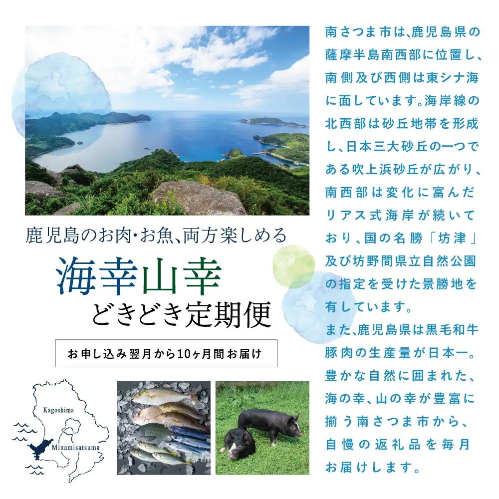 海幸山幸どきどき定期便（全10回） お肉 お魚 黒豚 すき焼き ステーキ 角煮 鰻 マグロ 刺身 えび 出汁 鹿児島 南さつま市