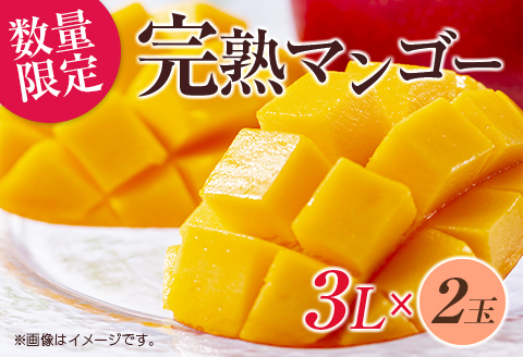 数量限定 完熟マンゴー 3L×2玉 フルーツ 果物 くだもの 国産 期間限定 先行予約 食品 デザート おやつ 人気 おすすめ おすそ分け ご褒美 お祝 お取り寄せ グルメ 産地直送 お土産 ギフト 