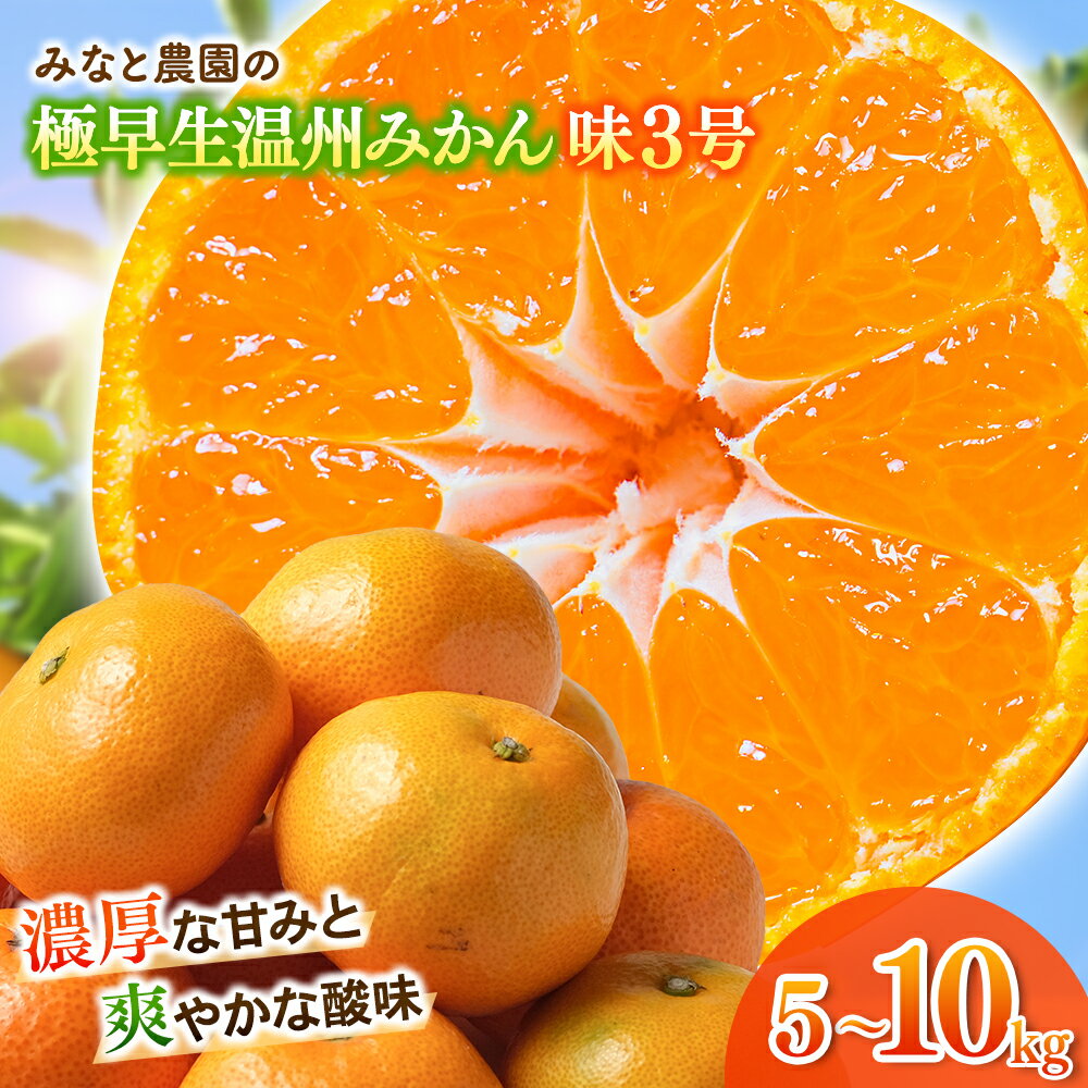 【ふるさと納税】 【数量限定】みなと農園の味3号 温州みかん 5kg 10kg 2S～Lサイズ混合 選べる容量 みかん ミカン 蜜柑 温州みかん 温州ミカン mikan 柑橘 フルーツ 果物 くだもの 極早生 甘い 旬 人気 三重県 熊野市 送料無料【2026年10月中旬頃〜順次発送】
