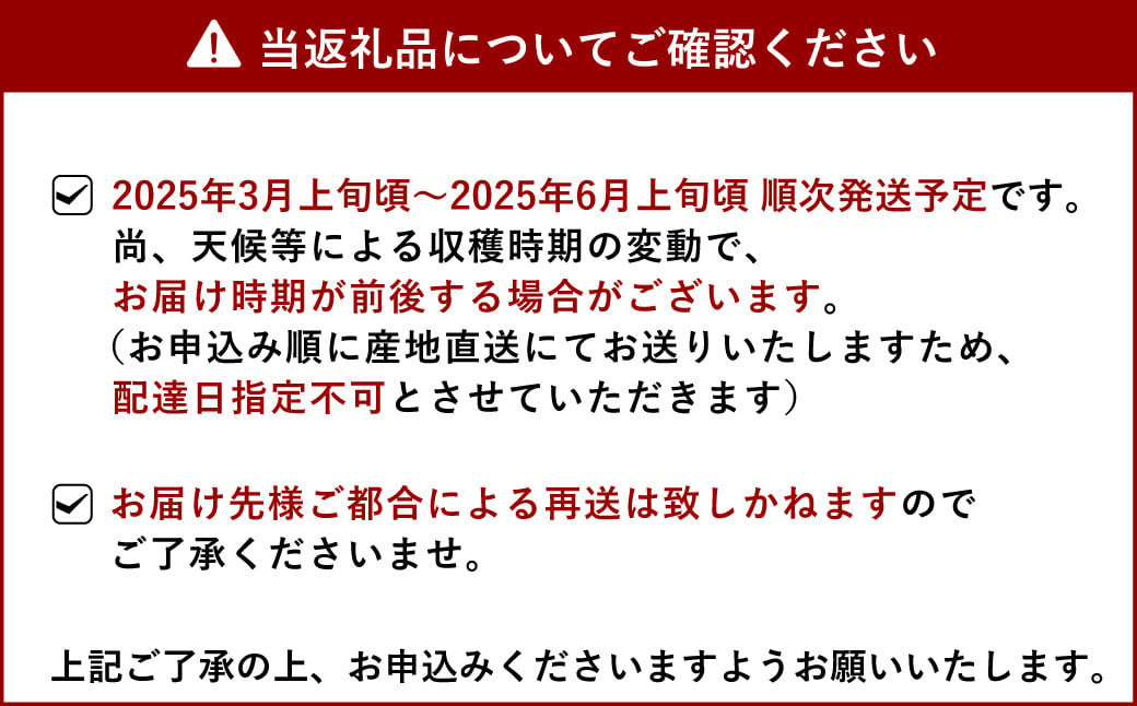 路地栽培 元祖 不知火 約3kg【2025年3月上旬から6月上旬発送予定】