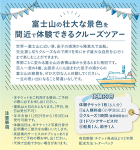クルージング スタンダードコース 体験チケット 6人 クルーズツアー 土日のみ 年末年始受付可能 富士山の壮大な景色 雄大な自然 田子の浦港 隆真丸 完全貸し切り 一生の思い出 静岡県 富士市 [sf