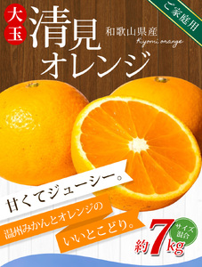 大玉清見オレンジ 【家庭用】 森本農園の手選別 約7kg 和歌山県産 サイズ混合 【北海道・沖縄・離島配送不可】【2026年2月上旬～5月中旬頃に順次発送】【BV-mrmt075】