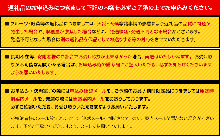 岡山県産シャインマスカット（晴王）（1房580g以上　2房入り）（令和7年産先行受付）《9月上旬-10月下旬頃出荷》葡萄 ぶどう ブドウ マスカット シャインマスカット 種無し フルーツ 獲れたて【配