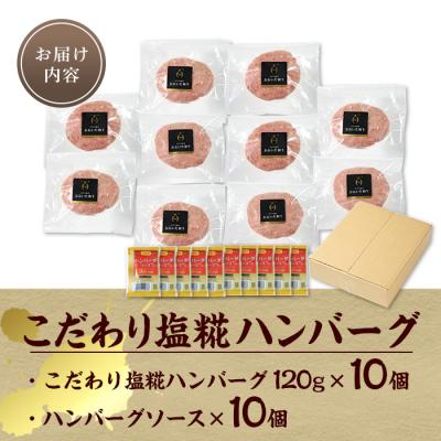 ふるさと納税 佐伯市 塩糀 ハンバーグ (合計1.2kg・120g×10個 ハンバーグソース×10個付) |  | 02