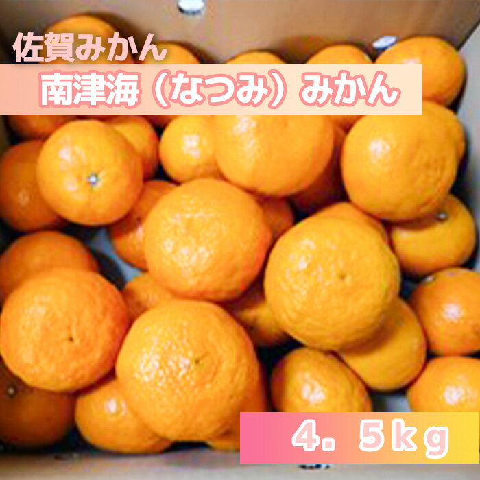 【ふるさと納税】南津海（なつみ）みかん4.5kg（DV145）