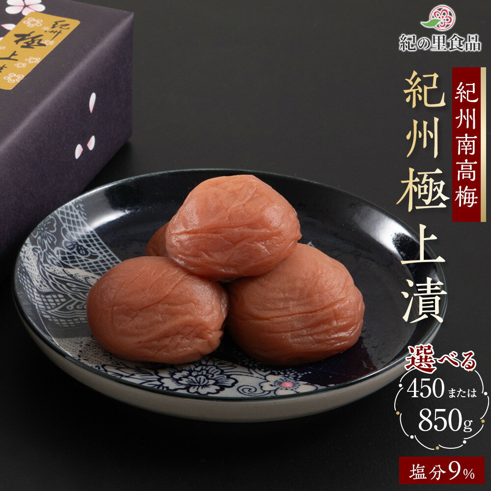 【ふるさと納税】【選べる容量】紀州南高梅 紀州極上漬 450g～850g | 梅干 食品 加工食品 人気 おすすめ 送料無料