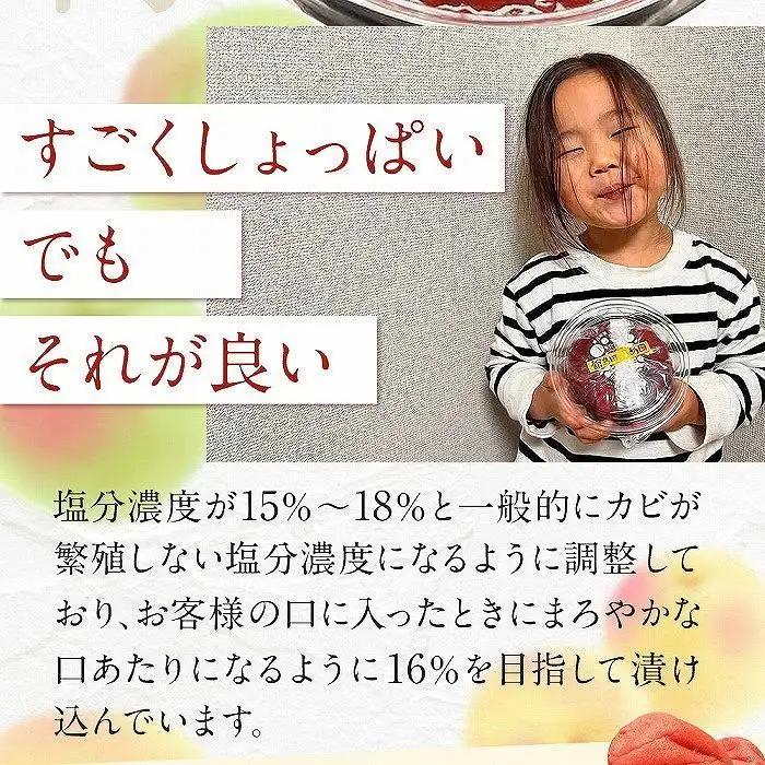 【先行予約】梅干し 宮城県角田産 無添加 まごころ手作り梅干し(270g)・練り梅(160g)１セット【10月上旬以降順次発送】｜梅干し 練り梅 パウチ