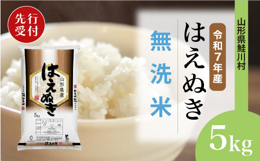 ＜令和7年産米先行受付＞ 令和8年2月中旬発送　はえぬき 【無洗米】 5kg （5kg×1袋） 鮭川村