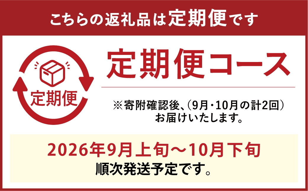 [HS]【定期便 全2回】ぶどう 最高級品シャイン マスカット 晴王 2房 〈合計約1.4kg〉