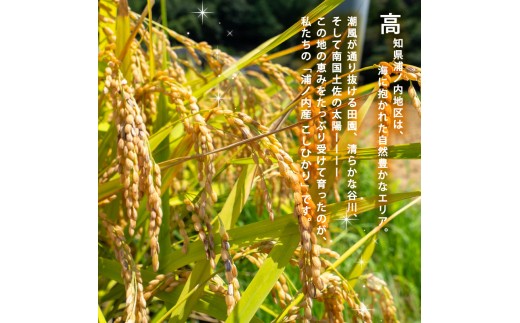 2025年 コシヒカリ 10Kg 産地直送 高知県産 白米 精米 こしひかり 米 常温 配送 ブランド米 国産 米 早場米 人気 天然 恵み 心 高知県 須崎市 SI003