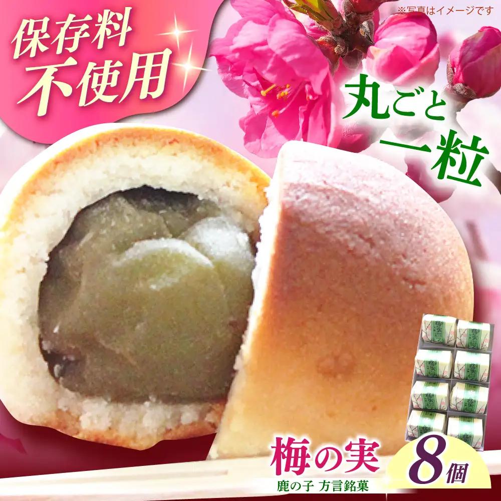 和菓子 築上銘菓「 梅の実 」8 個 [ABAC016] 和菓子