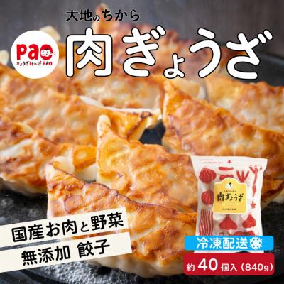 ふるさと納税 三原市 paoの無添加餃子「大地のちから 肉ぎょうざ」840g(約40個)  [058-008]