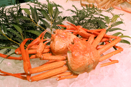 鳥取県産 浜茹で紅ズワイガニA級 2枚【ズワイガニ ずわいがに 紅ずわいがに かに カニ A級 冷蔵 チルド ブランド 蒸し ボイル 高級 国産 季節限定 お取り寄せ お祝い お歳暮 贈り物 鳥取県 日吉津村 日本海】