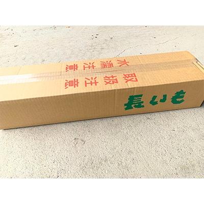 ふるさと納税 訓子府町 佐藤農場の長芋＜5kg＞ |  | 02