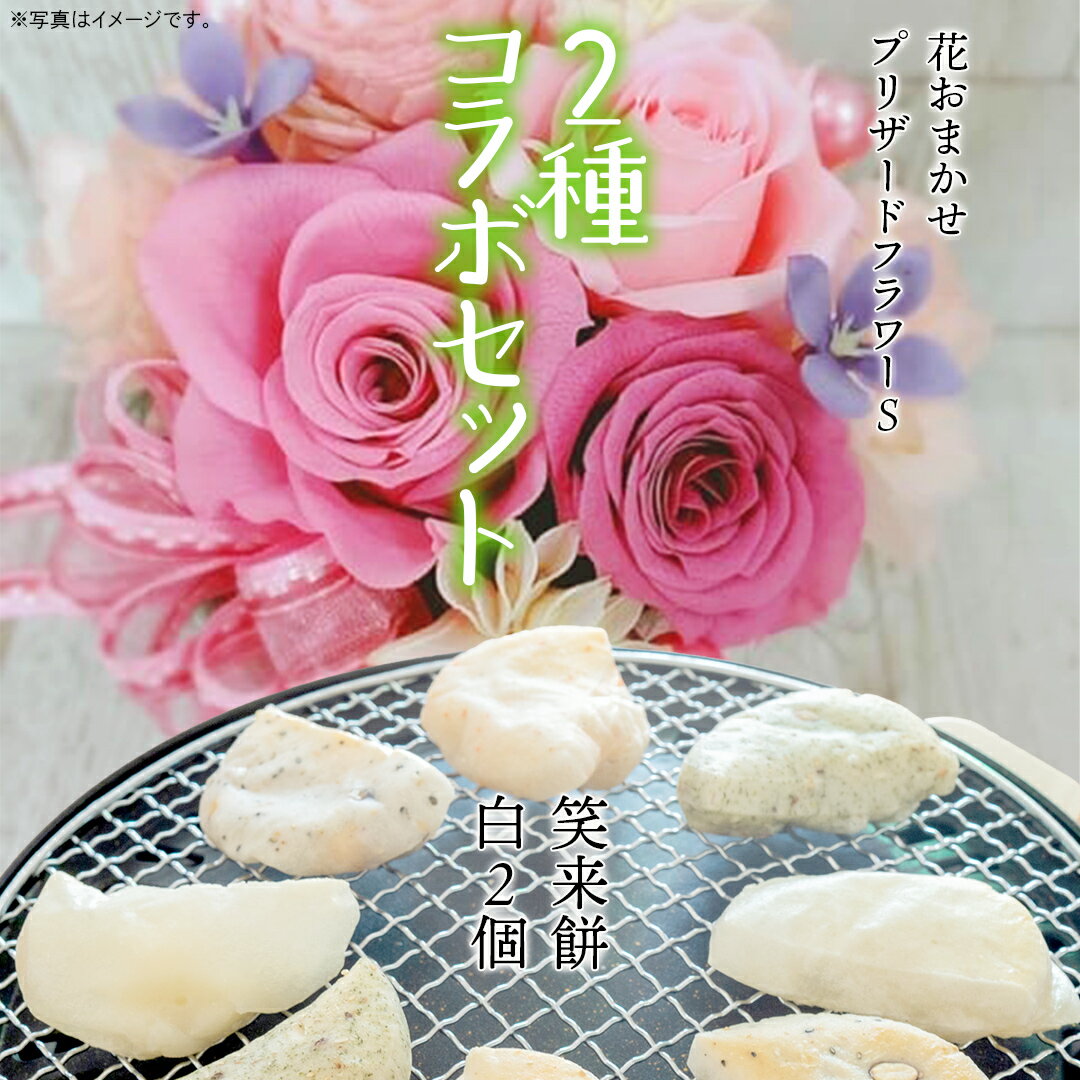 【ふるさと納税】【 筑西市 ふるさと納税限定 コラボ 】 《 花色 おまかせ プリザーブド フラワー S 》《 笑来餅 2個 セット（白2個） 》 アレンジメント 生花 ギフト プレゼント 誕生日 記念日 敬老 餅 もち もち米 [ZZ048ci]
